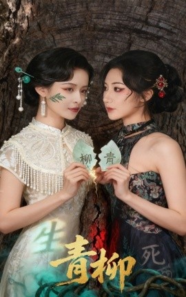 《青柳》短剧高清全集免费在线观看