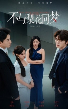 《不与梨花同梦》短剧高清全集免费在线观看