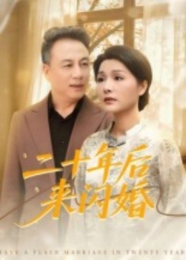 《二十年后来闪婚》短剧高清全集免费在线观看