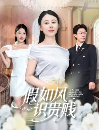 《假如风识贵贱》短剧高清全集免费在线观看