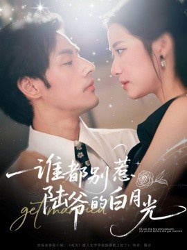 《谁都别惹陆爷的白月光》短剧高清全集免费在线观看