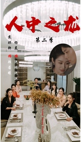 《人中之龙第二季》短剧高清全集免费在线观看