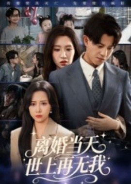 《离婚当天，世上再无我》短剧高清全集免费在线观看
