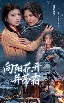 《向阳花开并蒂霜》短剧高清全集免费在线观看