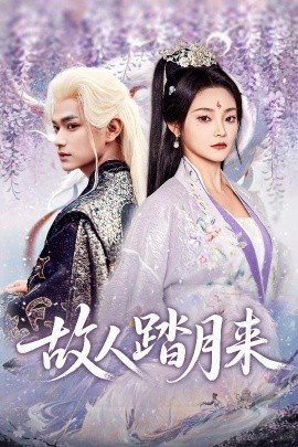 《故人踏月来》短剧高清全集免费在线观看
