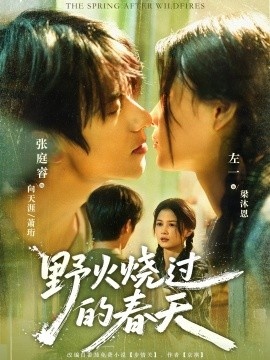 《野火烧过的春天》短剧高清全集免费在线观看