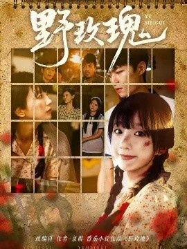《野玫瑰》短剧高清全集免费在线观看
