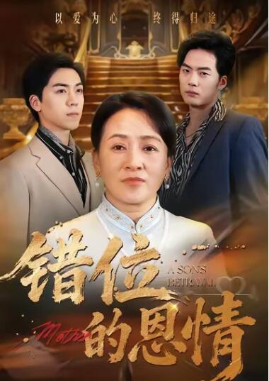 《错位的恩情》短剧高清全集免费在线观看