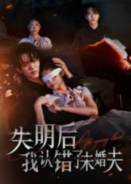 《失明后我认错了未婚夫》短剧高清全集免费在线观看