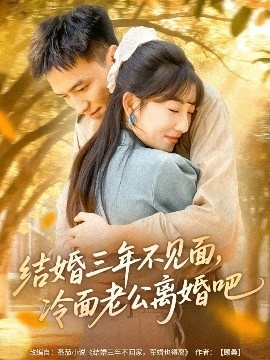《结婚三年不见面，冷面老公离婚吧》短剧高清全集免费在线观看