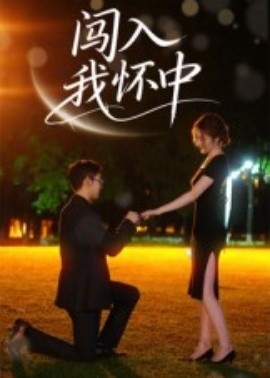 《闯入我怀中》短剧高清全集免费在线观看